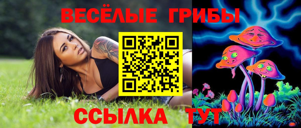 Краснокаменск  Псилоцибиновые грибы MAGIC MUSHROOMS  Вход с VPN 